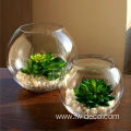 custom mini clear round glass vase flower pot